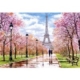 Romantischer Spaziergang in Paris 1000 Teile Puzzle  Castorland