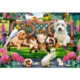 Haustiere im Park 1000 Teile Puzzle  Castorland
