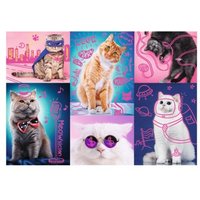 Neon Color Line - Cats 1000 Teile Puzzle  Trefl