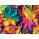 Brilliance - Herbstrausch 500 Teile Puzzle  Master Pieces