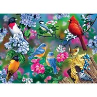 Audubon - Singvogel-Collage 1000 Teile Puzzle  Master Pieces