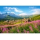 Tatras