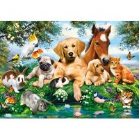 Sommer-Freunde 500 Teile Puzzle  Castorland