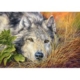 Reine Seele 500 Teile Puzzle Castorland
