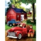 XXL Teile - Apples for Sale 300 Teile Puzzle  SunsOut