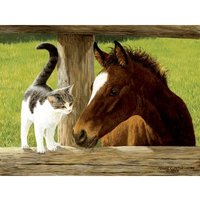 XXL Teile - Whiskery Hello 500 Teile Puzzle  SunsOut