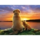 XXL Teile - As the Sun Sets 300 Teile Puzzle  SunsOut