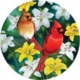 XXL Teile - Cardinals in the Round 500 Teile Puzzle SunsOut