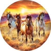 XXL Teile - Running in the Sun 500 Teile Puzzle  SunsOut