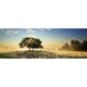 Play of Light 1000 Teile Puzzle  Heye