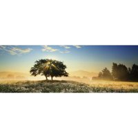 Play of Light 1000 Teile Puzzle  Heye