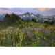 Edition Alexander Von Humboldt - Tatoosh Mountains 2000 Teile Puzzle  Heye