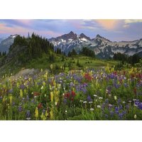 Edition Alexander Von Humboldt - Tatoosh Mountains 2000 Teile Puzzle  Heye