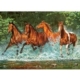 Kaskadenlauf 300 Teile Puzzle Castorland