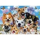 Selfies 500 Teile Puzzle  Educa